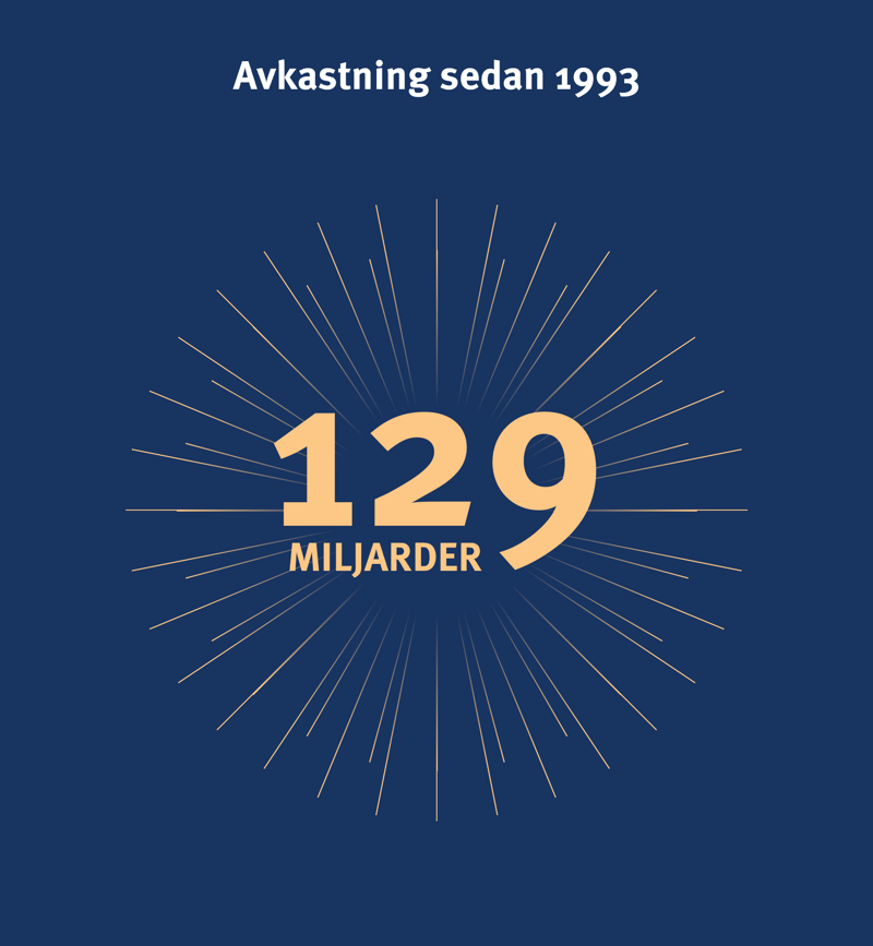 Avkastning sedan 1993